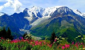 valley of flower