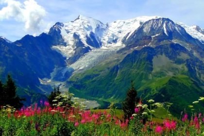 valley of flower
