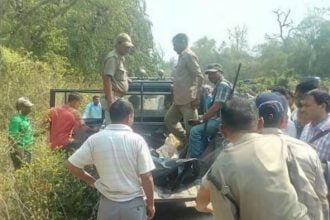forester killed