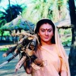 tapowan देवी सीता