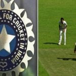 cricket