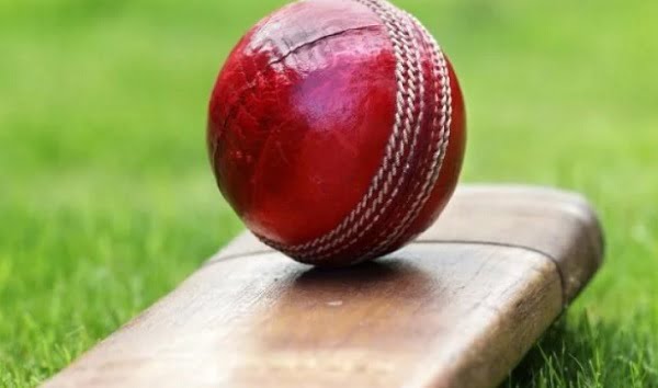 cricket