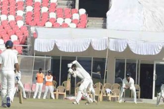 cricket