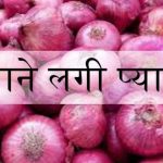 onion