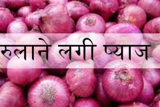 onion