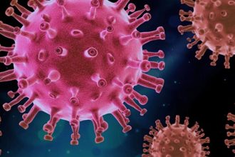 उत्तराखंड