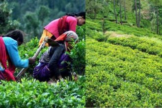 उत्तराखंड