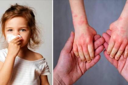 taomaetao-sixteen_nine