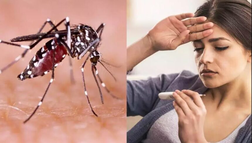 डेंगू के बचाव को जारी की एडवाइजरी