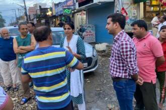 डीएम सोनिका