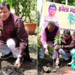 हरेला पर्व